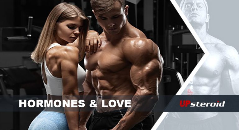hormonok szeretete