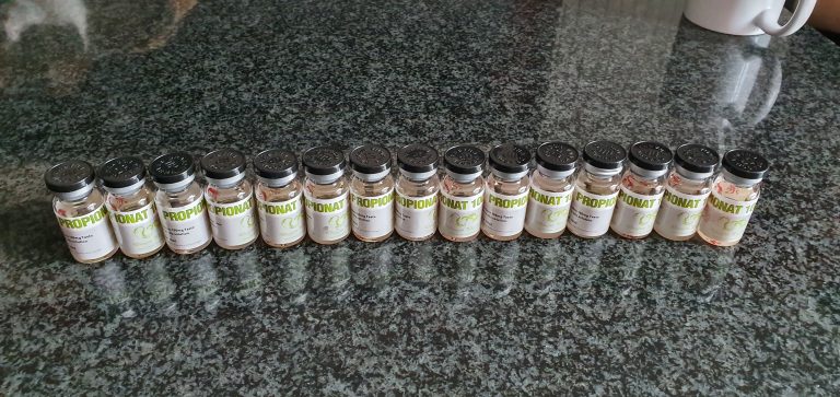 2019. 11. 05. 5dc1b2c1cce2e 20191105 110344