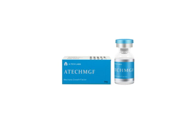 egy műszaki igazgató