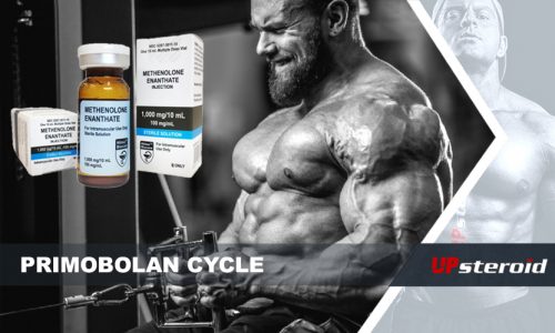 elsődleges ciklus (1)