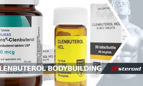 blog clenbuterol testépítés