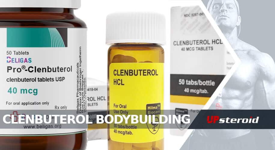 blog clenbuterol testépítés