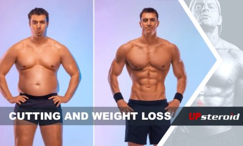 blog fel fogyás csökkentés