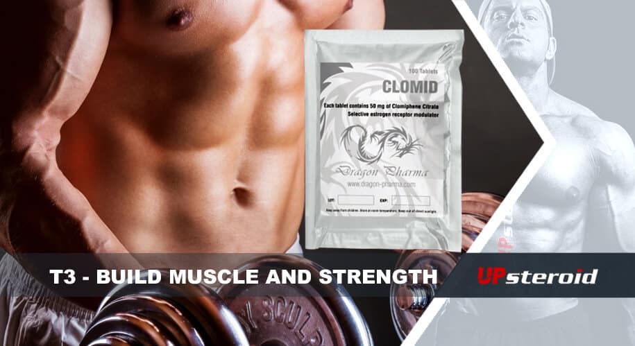 blog t3 izomerő építés