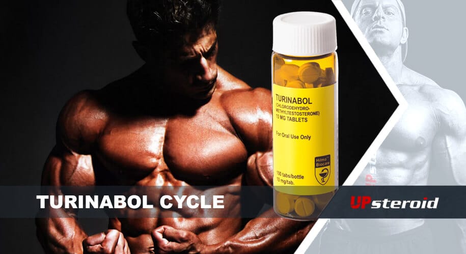 blog turinabol ciklus