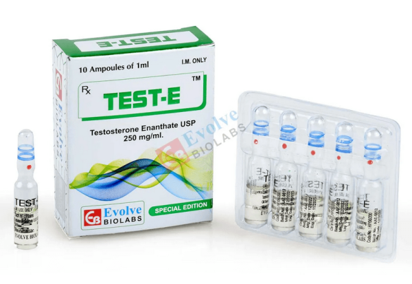 Tesztoszteron-enantát 250 mg/ml (10x1 ml ampulla) - Evolve Biolabs