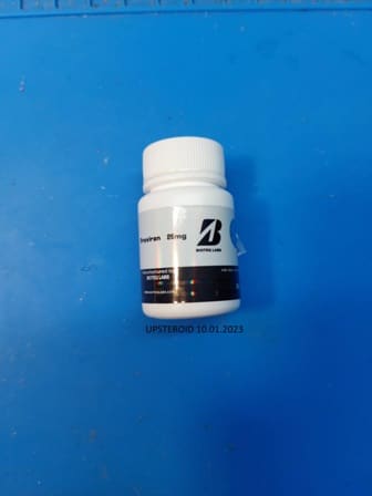 2023 01 10 63bd94e646207 Upsteroid