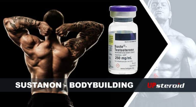 blog fenntartható testépítés