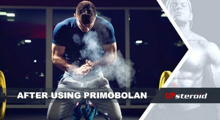 blog létrehozása primobolan használata után