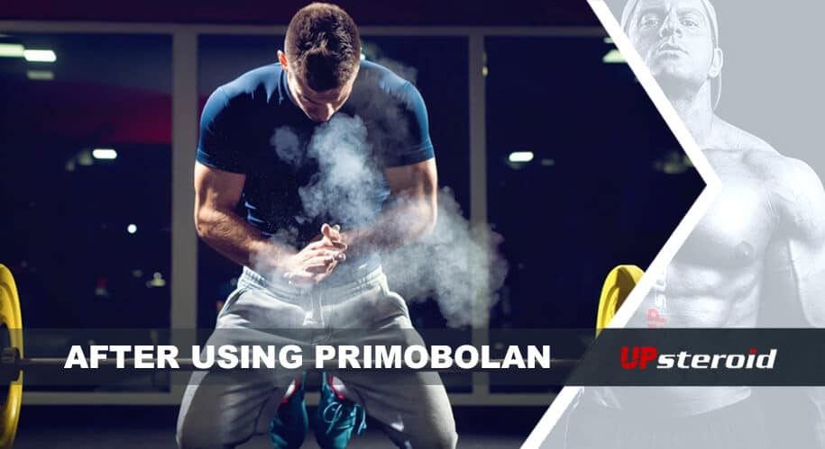 blog létrehozása primobolan használata után