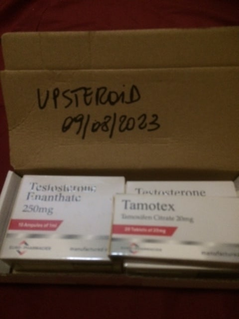 2023 08 09 64d393027bf7e FEL