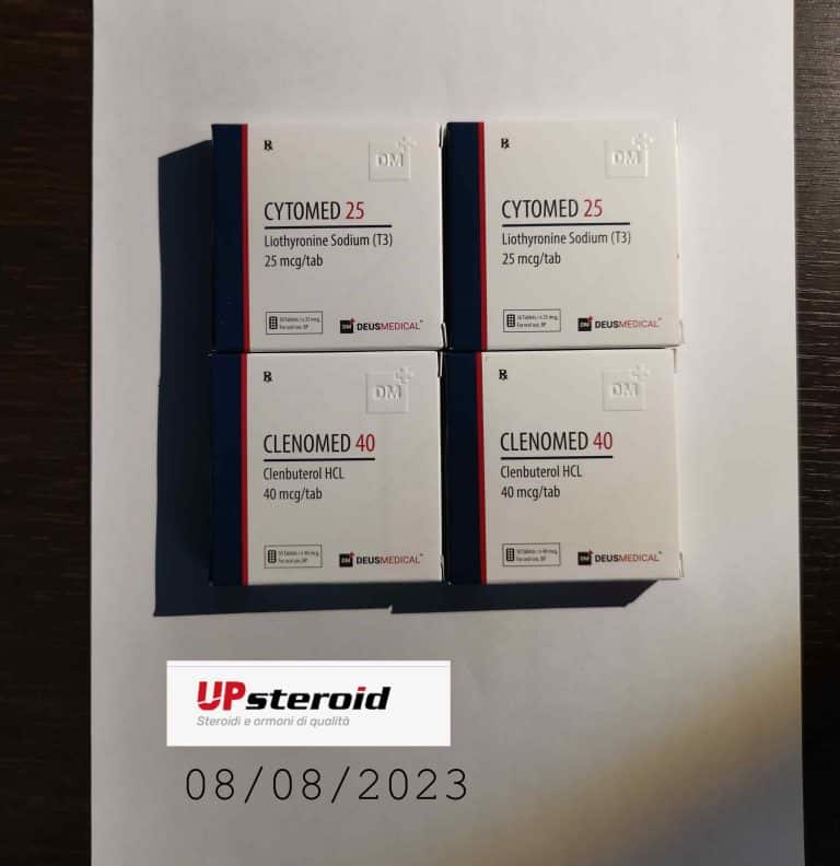 2023 08 18 64df423a47307 KÉP 20230818 115915