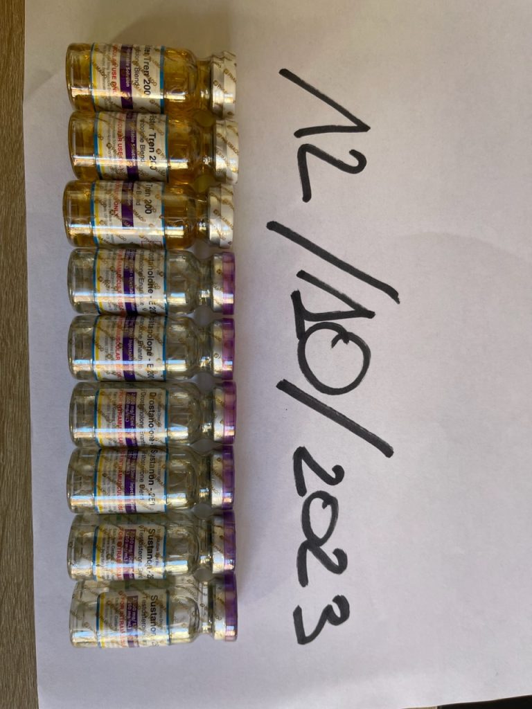 2023. 10. 12. 6527cde7e6d8b IMG 5879