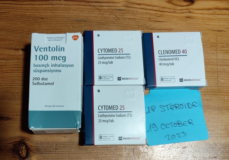 2023 10 25 65396786f152a KÉP 20231025 204620