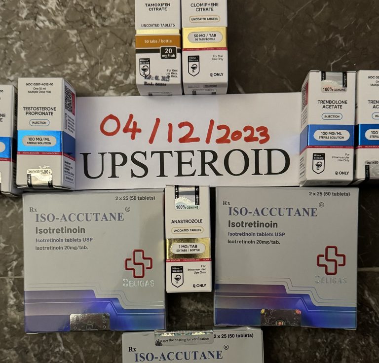 2023. 12. 04. 656dbc170f989 IMG 0047