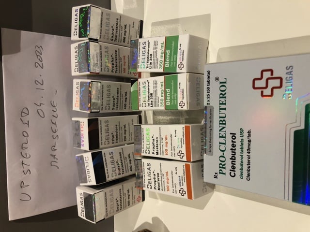 2023. 12. 08. 6572fd6552e42 kép0