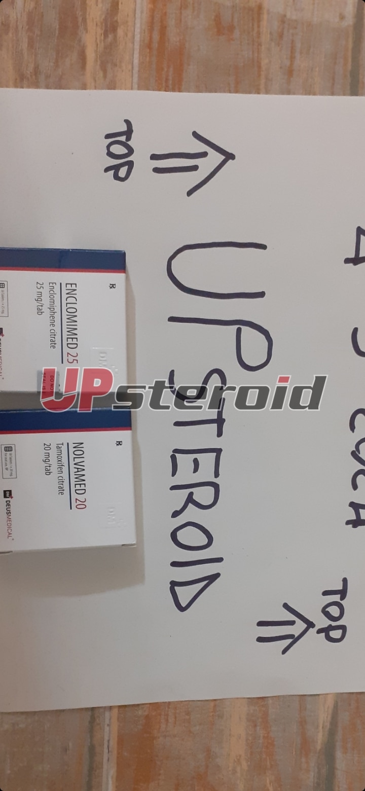 2024 03 04 65e635ce1c044 Képernyőkép 20240304 215539 Galéria