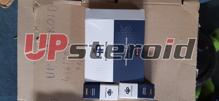 2024. 06. 04. 665f1d43d68b5 NGH