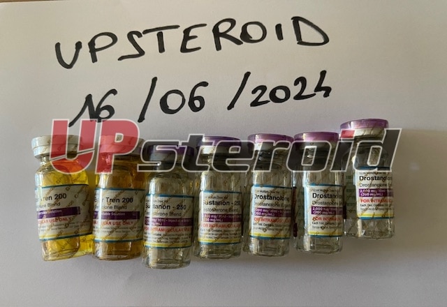 2024.06.16. 666eb8d34f4c1 IMG 0488