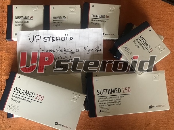 2024.06.16. 666eeca42ad16 lou00008