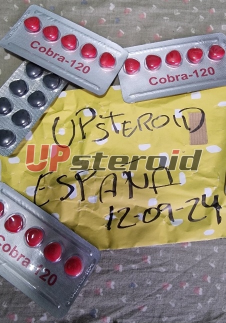 2024 09 12 66e380642c4ba retusálás 2024091301554147