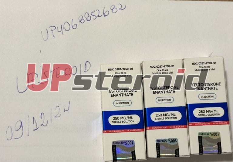 2024. 12. 09. 675748ec27023 IMG 6790