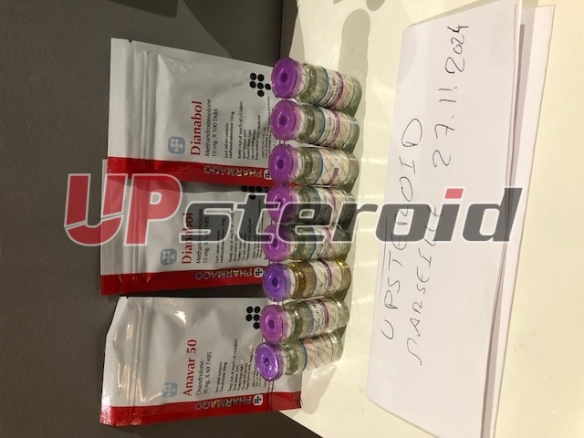 2024.12.13. 675bedb2ee798 IMG 5201