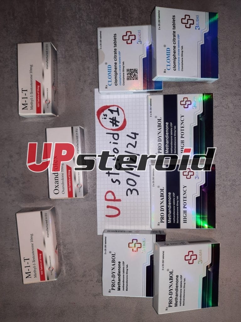 2024. 12. 31. 6774061083b49 UpSteroid3