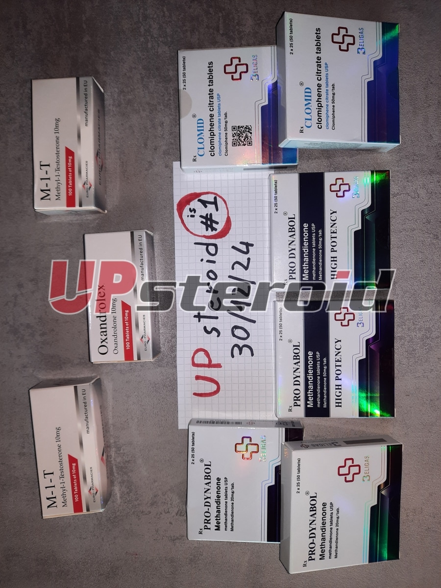 2024. 12. 31. 6774061083b49 UpSteroid3