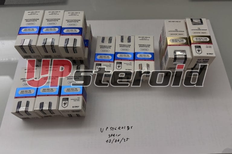 2025 06 12 684a84693067a 12. kép 6 25053403