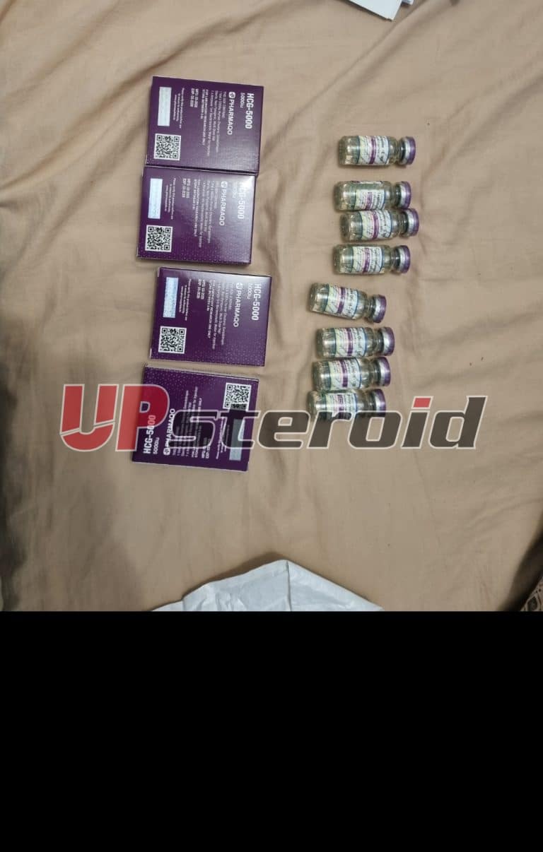 2025 08 04 68913be446f01 Képernyőkép 20250805 010032 Galéria